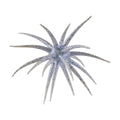 Berkley PowerBait Max Scent Moeba 3.5in