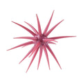 Berkley PowerBait Max Scent Moeba 4.5in