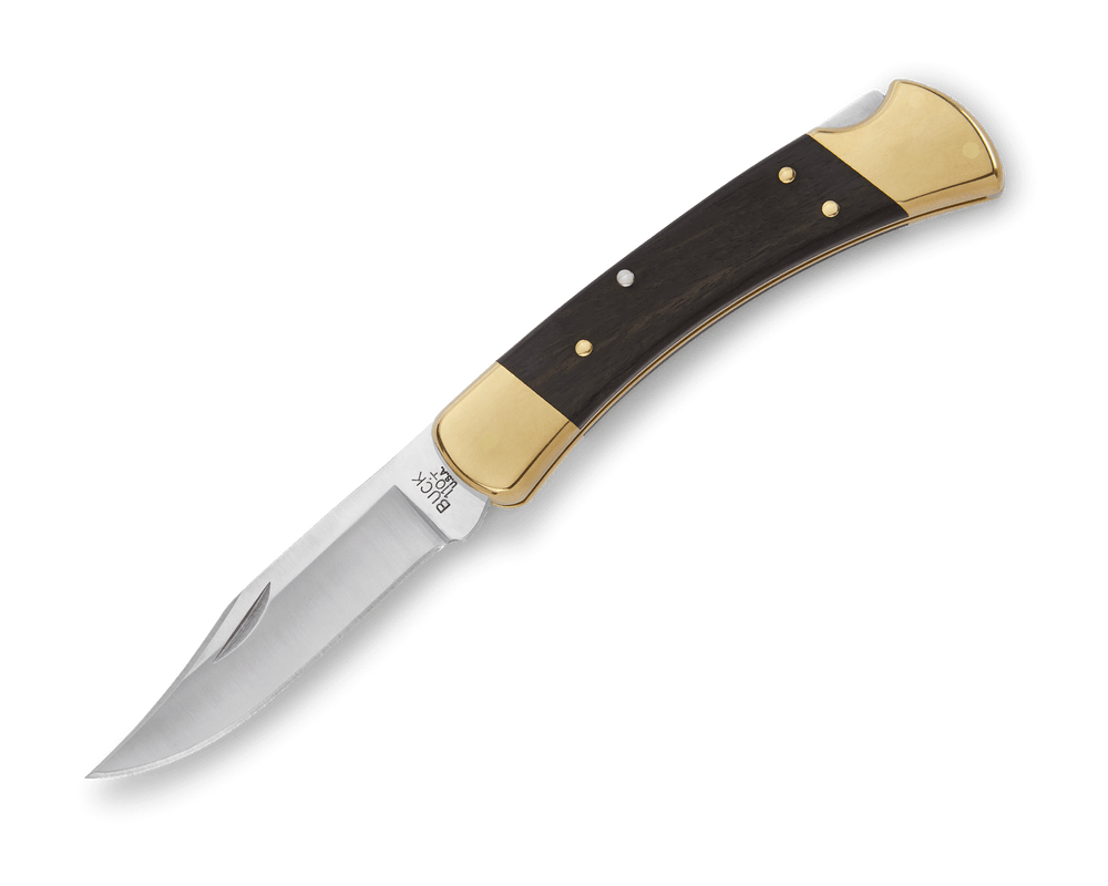 Buck Knife Folding Hunter