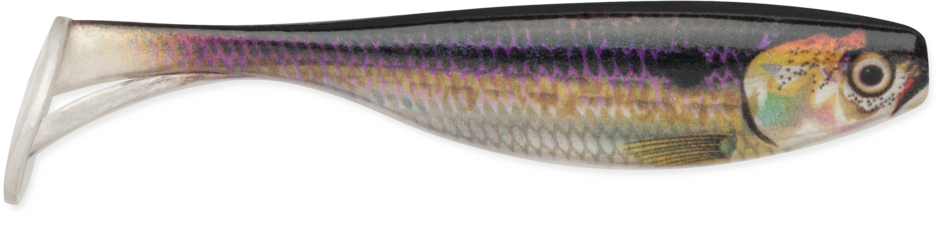 Storm Largo Shad 4" 6pcs