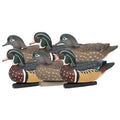 Zink 6 Wood Duck Decoys
